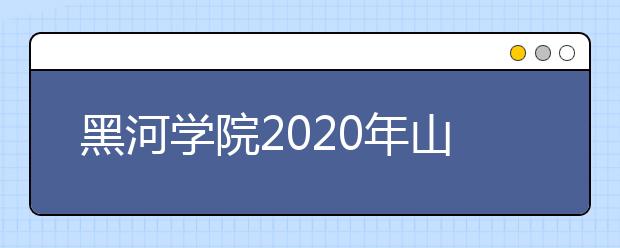黑河学院2020年山东省艺术类专业招生简章
