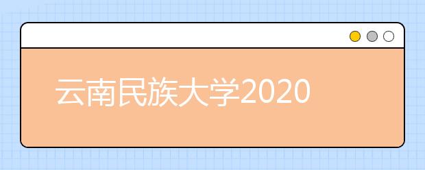云南民族大学2020年艺术类招生简章