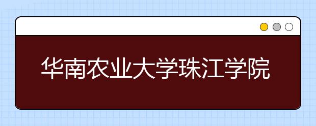 华南农业大学珠江学院2020年山东省艺术类校考报名开启