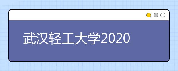 武汉轻工大学2020年美术类专业招生简章