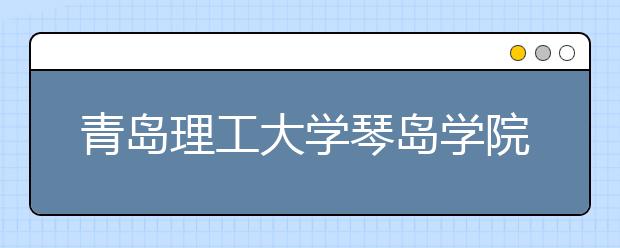 青岛理工大学琴岛学院2020年美术类招生问答