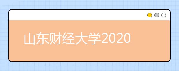 山东财经大学2020年艺术类专业招生简章