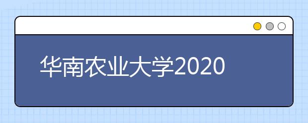 华南农业大学2020年承认美术统考成绩