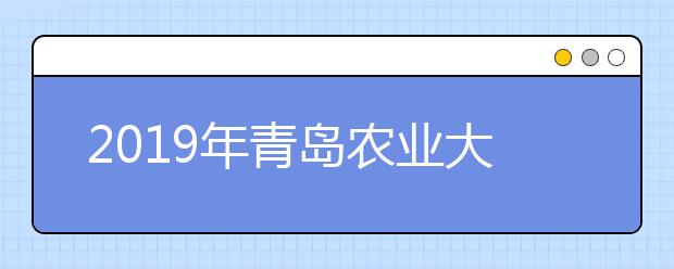 2019年青岛农业大学艺术类本科专业录取分数线