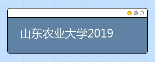 山东农业大学2019年艺术类专业录取分数线