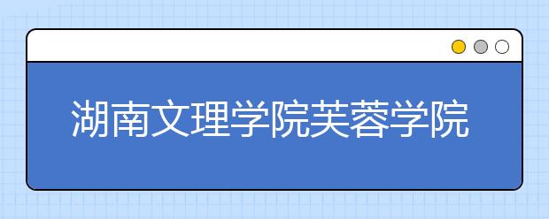 湖南文理学院芙蓉学院2019年艺术类本科录取线