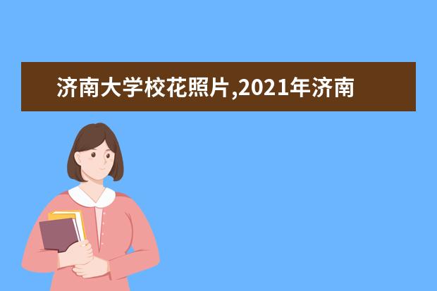 济南大学校花照片,2021年济南大学校花是谁(多图)