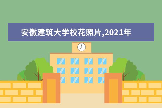 安徽建筑大学校花照片,2021年安徽建筑大学校花是谁(多图)