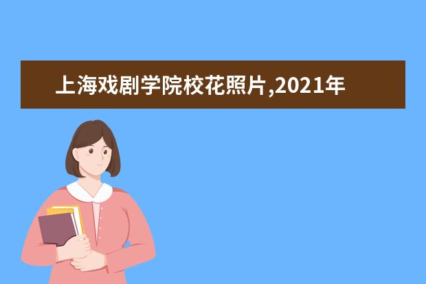 上海戏剧学院校花照片,2021年上海戏剧学院校花是谁(多图)