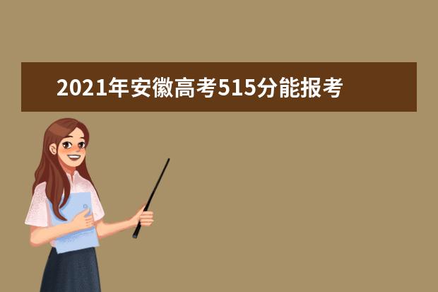 2021年安徽高考515分能报考上什么大学(理科)