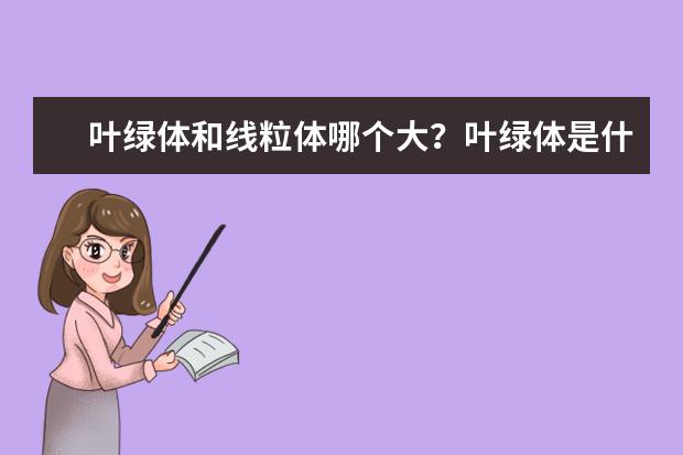 叶绿体和线粒体哪个大?叶绿体是什么主要作用是什么