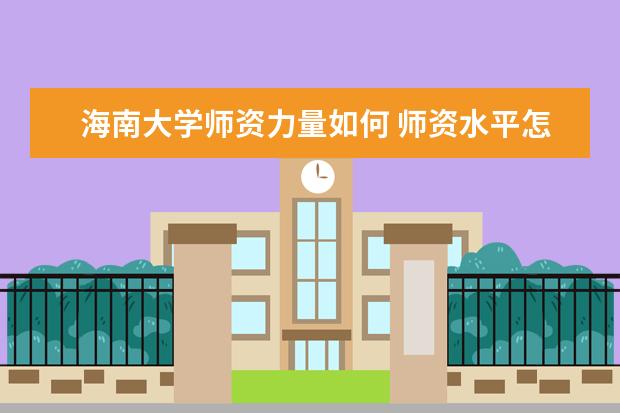 海南大学师资力量如何 师资水平怎么样