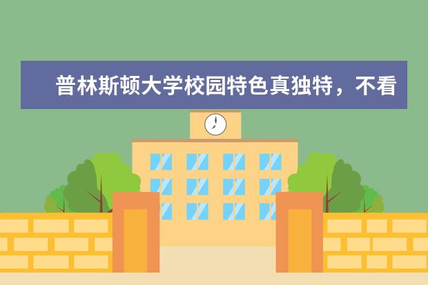 普林斯顿大学校园特色真独特，不看后悔！