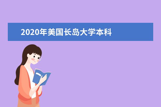2020年美国长岛大学本科