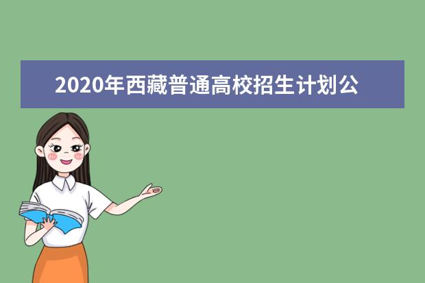 2020年西藏普通高校招生计划公布