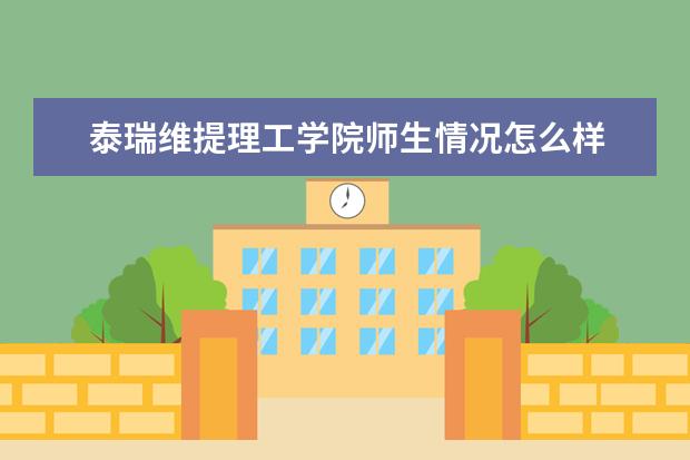 泰瑞维提理工学院师生情况怎么样 师资力量如何