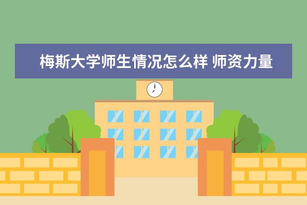 梅斯大学师生情况怎么样 师资力量如何