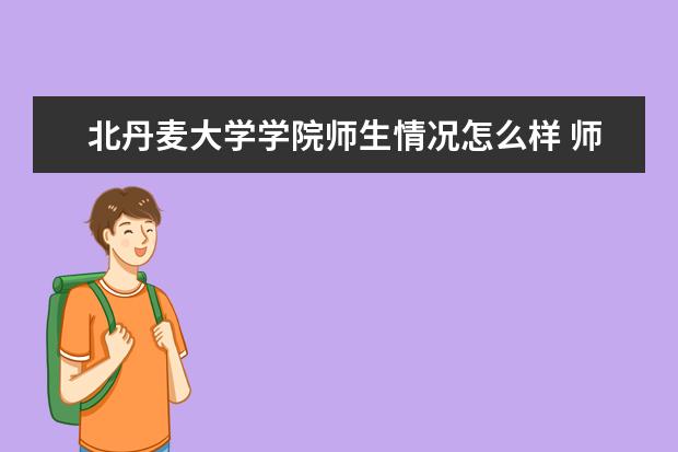 北丹麦大学学院师生情况怎么样 师资力量如何