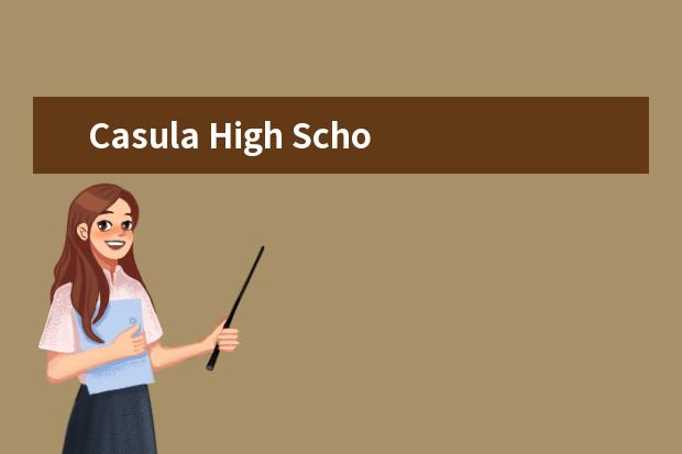 Casula High School师生情况怎么样 师资力量如何