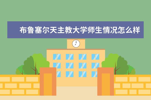 布鲁塞尔天主教大学师生情况怎么样 师资力量如何