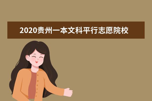 2020贵州一本文科平行志愿院校录取最低分及录取人数一览表