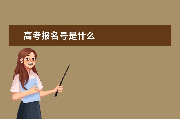 高考报名号是什么