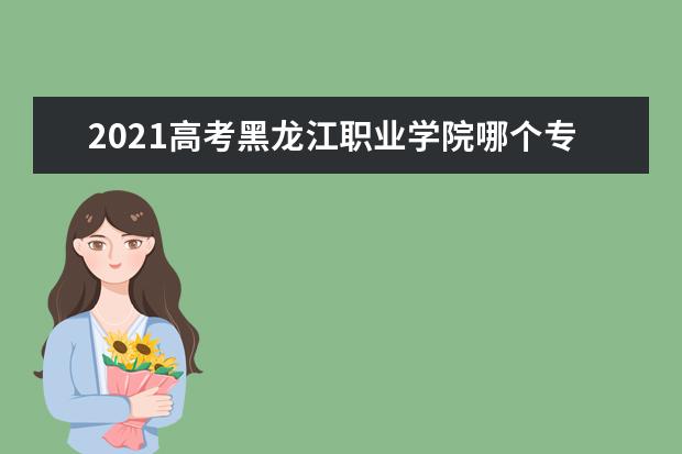 2021高考黑龙江职业学院哪个专业好