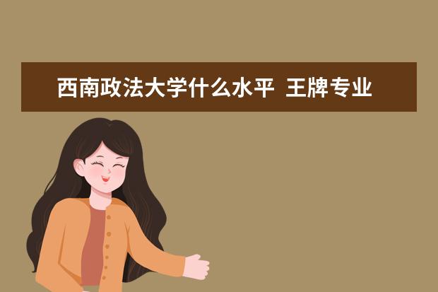西南政法大学什么水平  王牌专业有哪些