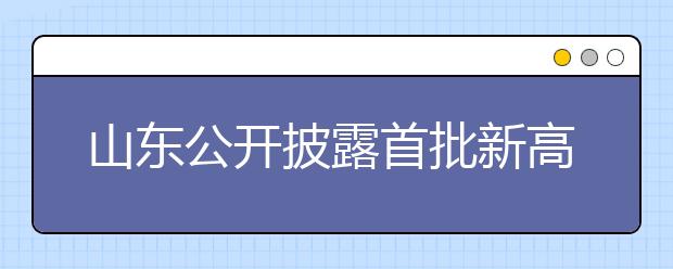 山东公开披露首批新高考生选科数据