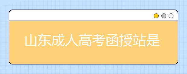 山东成人高考函授站是什么