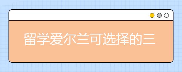 留学爱尔兰可选择的三大热门专业领域