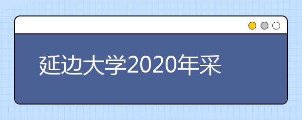 延边大学2020年采用各省美术统考成绩