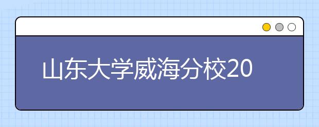 山东大学威海分校2020年承认美术统考成绩