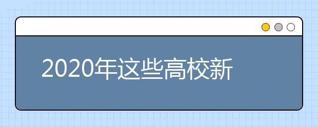 2020年这些高校新增了艺术类专业!