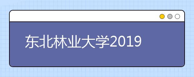 东北林业大学2019年各省美术类专业录取时间