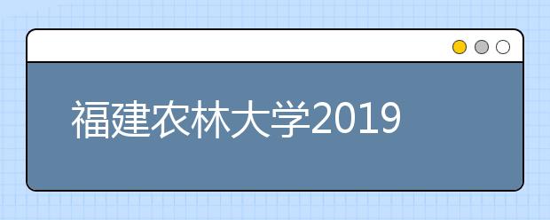 福建农林大学2019年承认美术统考成绩