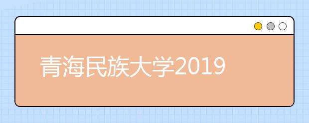 青海民族大学2019年艺术类本科专业招生简章