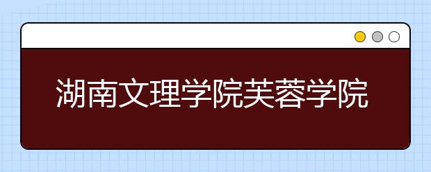 湖南文理学院芙蓉学院2019年艺术类招生计划