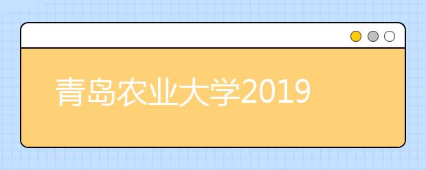 青岛农业大学2019年艺术类本科招生计划