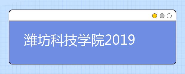 潍坊科技学院2019年山东省艺术类本科A段志愿填报说明