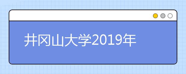 井冈山大学2019年艺术类本科专业招生计划