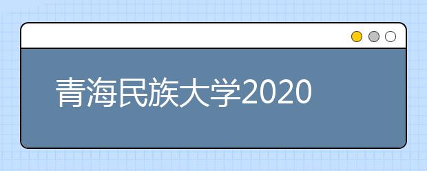 青海民族大学2020年艺术类本科专业录取规则