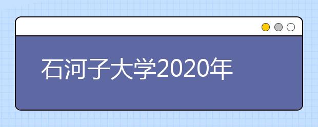 石河子大学2020年艺术类专业招生录取规则