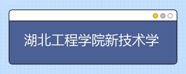 湖北工程学院新技术学院2019年美术类专业录取分数线