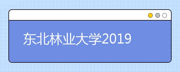 东北林业大学2019年山东省提前批艺术类录取分数线