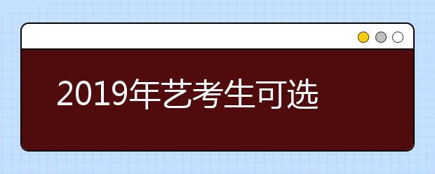 2019年艺考生可选择的七类院校