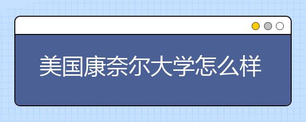 美国康奈尔大学怎么样？