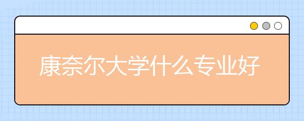 康奈尔大学什么专业好