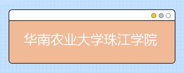 华南农业大学珠江学院2020年山东省艺术类校考报名开启