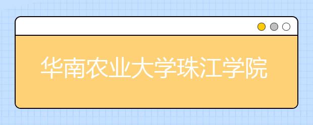 华南农业大学珠江学院2020年山东省艺术类校考报名开启